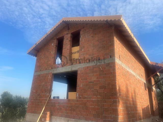 Kemalpaşa Aşağıkızılca Satılık 1758 M2 Tek Tapu Zeytinlik 3