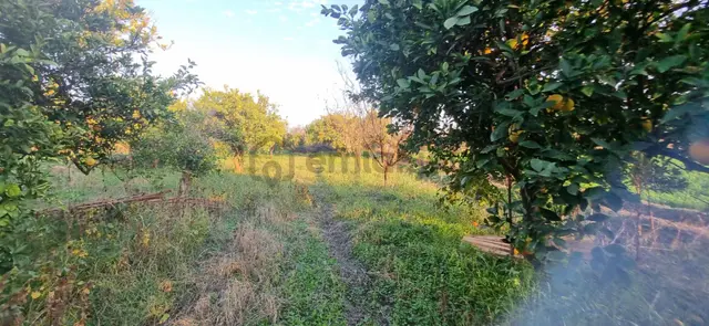 Tombul Emlaktan Aslanlı Mahallesinde Satılık Hobi Bahçesi 4