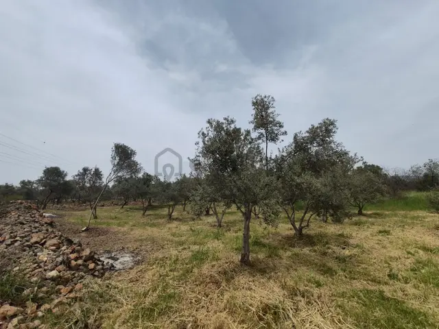 Buca Belenbaşı Mahallesi 907,16 M2 Satılık Müstakil Tapulu Köy İçi Arsa 3