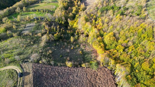Yalova Altınova Sermayecik 2.900 M2 Satılık Tarla 4