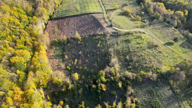 Yalova Altınova Sermayecik 2.900 M2 Satılık Tarla 3