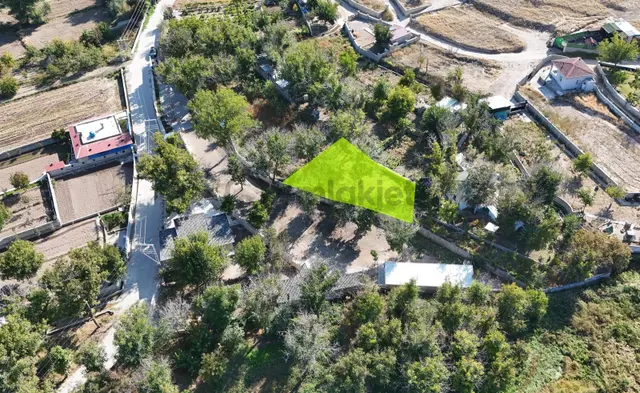 Şanlıbaba Emlak'tan Nar Da Satılık 337 M2 Bahçe 5