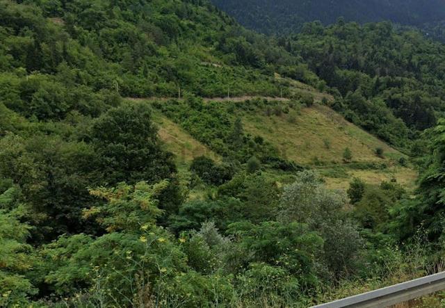 Trabzon Maçka Esiroğlu Mahallesi Satılık Arazi 3