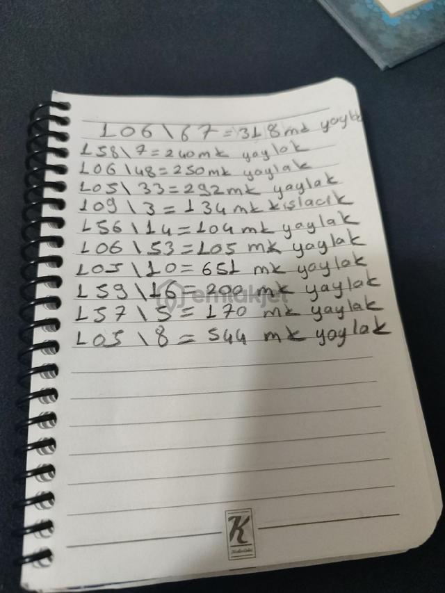 Acıl Satılık Takas Olur Tek Tek Yada Hepsı Satılık 2