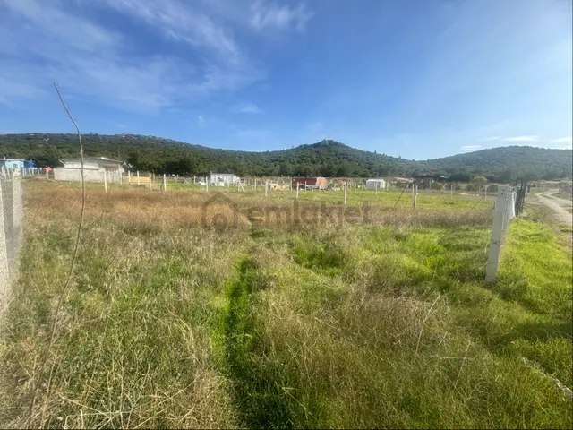 Torbalı Yazıbaşı Köyü Merkeze Yakın 356 M2 Elektrikli Satılık Bahçe 3