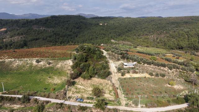 İzmir Çatalcada Satılık Tektapu 1.005 M2 Köye Yakın Elektrik Sulu Çevrili Bahçe 4