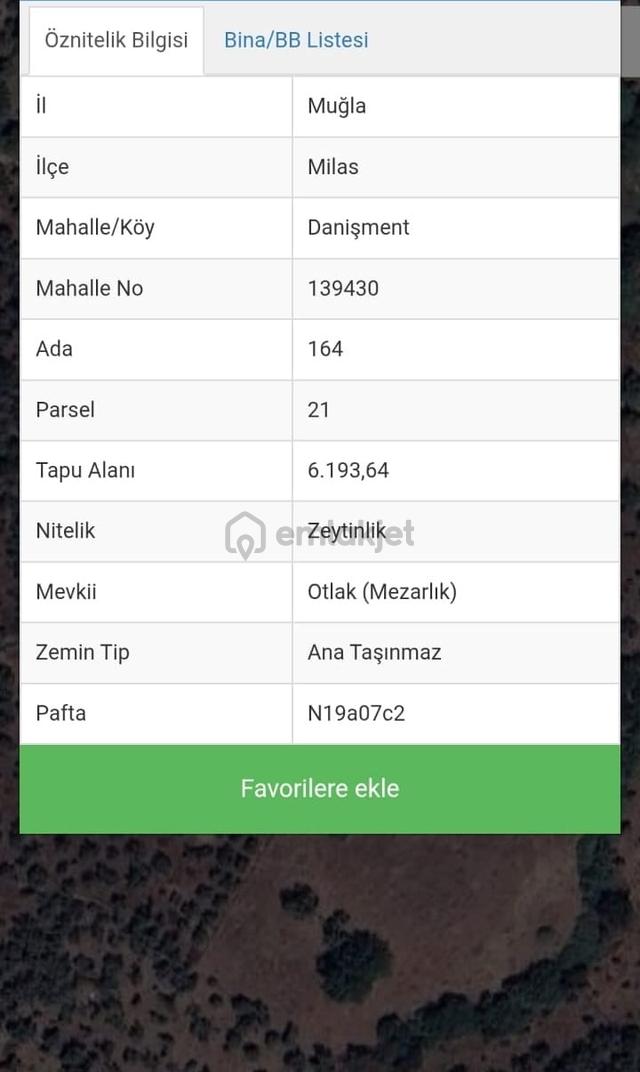 Muğla Milas Danışment'de Satılık Verimli Zeytinlik Tarla 2