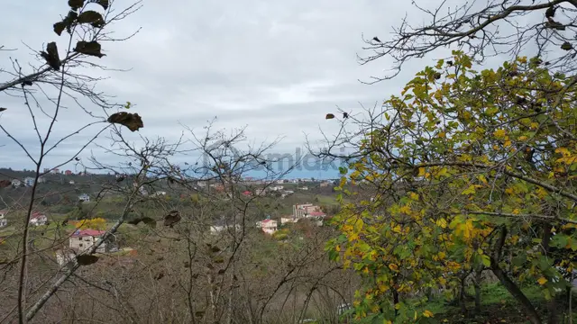 Trabzon Kavala'da Satılık Arazi 3