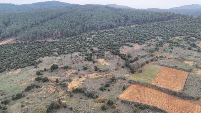 Ege Emlak'tan Yenimuhacir Köyünde Satılık 1.796 M2 Bağ Yeri 4
