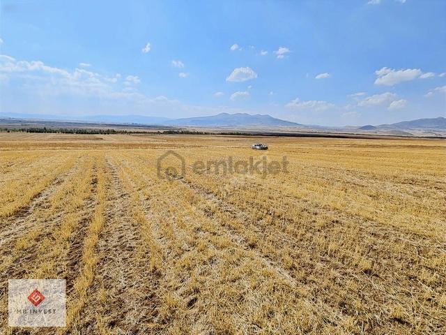 7456 M2 Tek Tapu Kemer Yakalar'da Yatırımlık Tarla