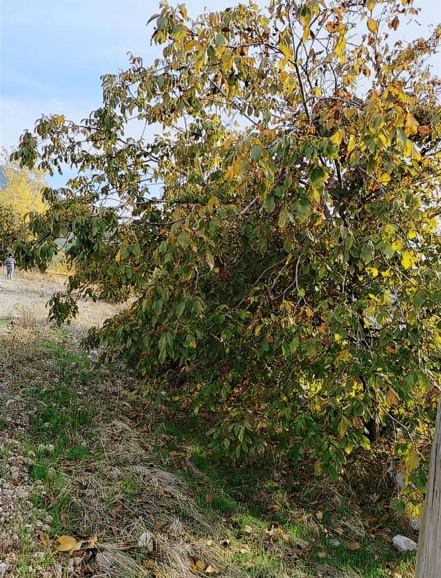 Yakaköyde 2.110 M² Fırsat Arsa Satılıktır ( Mükemmel Konum Da ) 5