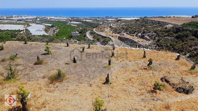 Görgün'den Kocahasanlı'da 5512m2 Deniz Manzaralı Tarla Ve Ev 1