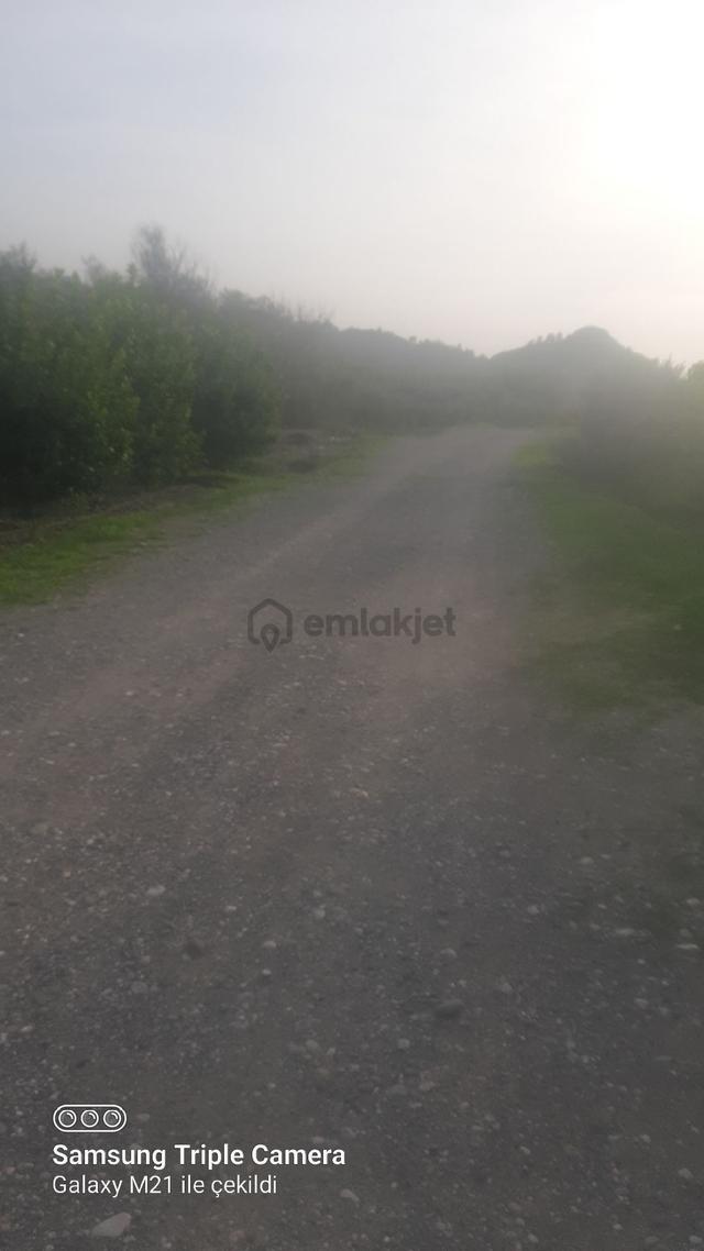 Lütfen Açıklamayı Okuyunuz. Ortaca Akıncıda Devirli 3 Parsel 5