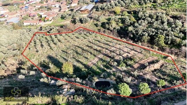 Küçük Menderes'ten Ödemiş Balabanlı Mah Satılık Zeytinlik 1