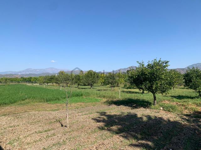 Ortaca Arıkbaşında 5400 M2 Hazır Çiftlik Satılık 4