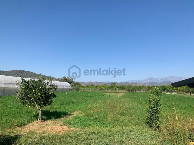 Ortaca Arıkbaşında 5400 M2 Hazır Çiftlik Satılık 3