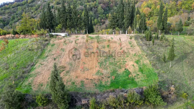 Kocaeli Karamürsel Akçat 1607 M² Satılık Bakımlı Meyve Bahçesi 3