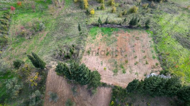 Kocaeli Karamürsel Akçat 1607 M² Satılık Bakımlı Meyve Bahçesi 5