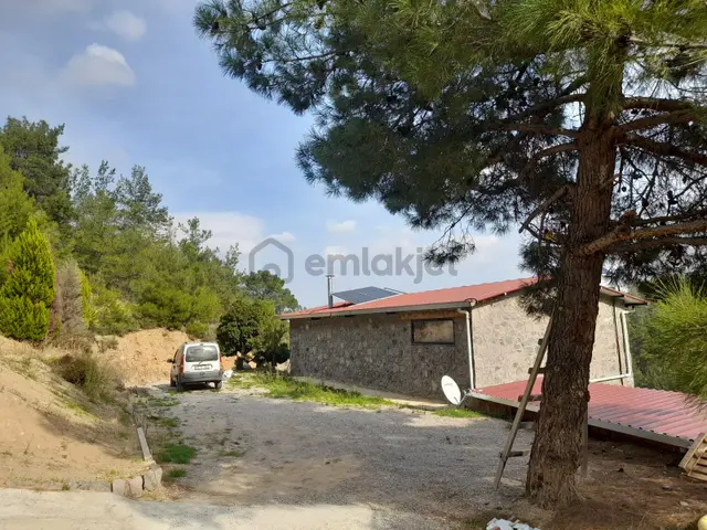 Kemalpaşa Armutlu’da Satılık Arazi Ve Taş Ev 3
