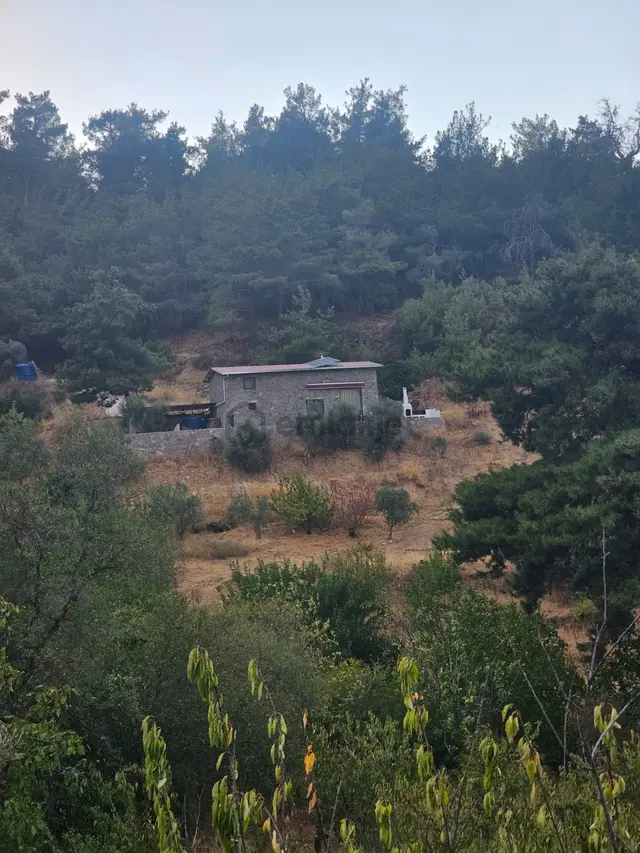 Kemalpaşa Armutlu’da Satılık Arazi Ve Taş Ev 2