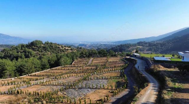 Kemalpaşa Yukarıkızılca Da Manzaralı Projeli 411m2 Bahçeler 3