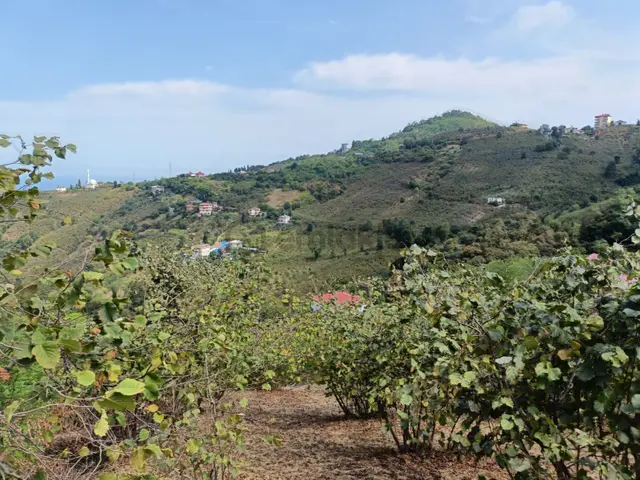 Uğurlu Da 2 Dönüm Yolu Açılmış Deniz Manzaralı Arazi 4