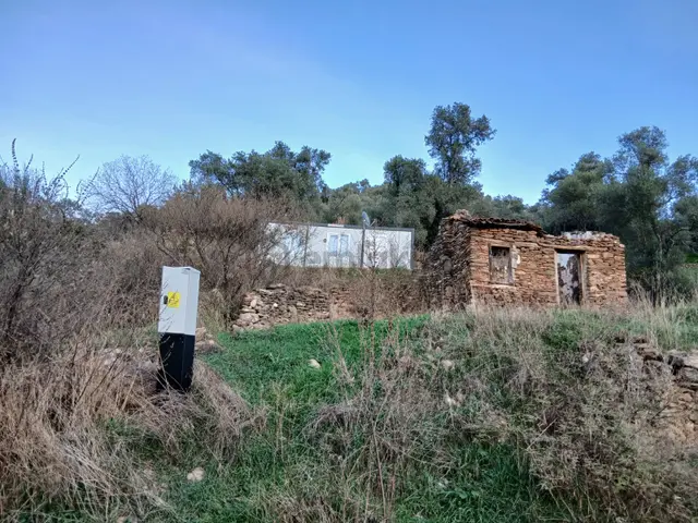 Milas Hacıahmetler Köyü'nde Kargir Ev Ve Zeytinlik 2
