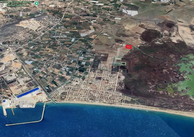 Remax Toros'tan Silifke Gülümpaşalı'da 13.750 M2 Satılık Tarla 3