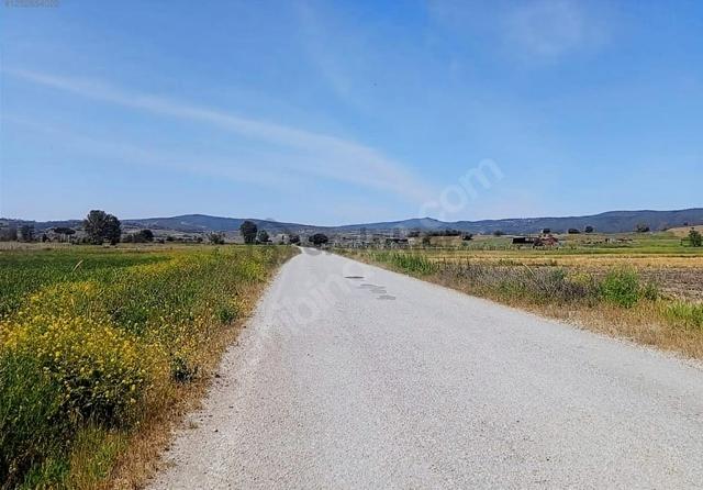 Golden Globy, Balıkesir Karesi Kocaavşar'da Satılık 3,5 Dönüm Düz Ve Verimli Tarla Golden Globy, Balıkesir Karesi Kocaavşar'da Satılık 3,5 Dönüm Düz Ve Verimli Tarla 1