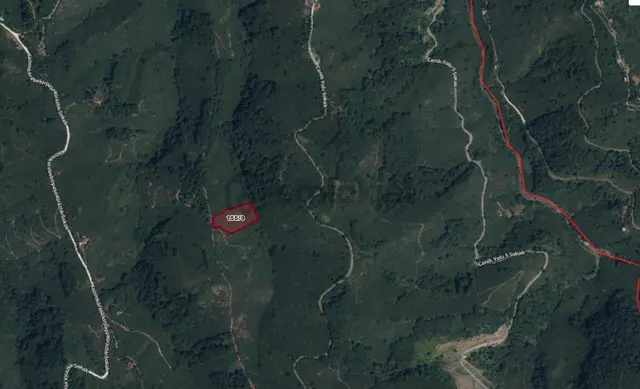 Truva'dan Terme'de Satılık 7850m2 Fırsat Yola Cephe Fındıklık 2