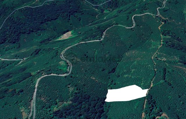 Truva'dan Terme'de Satılık 7850m2 Fırsat Yola Cephe Fındıklık 4