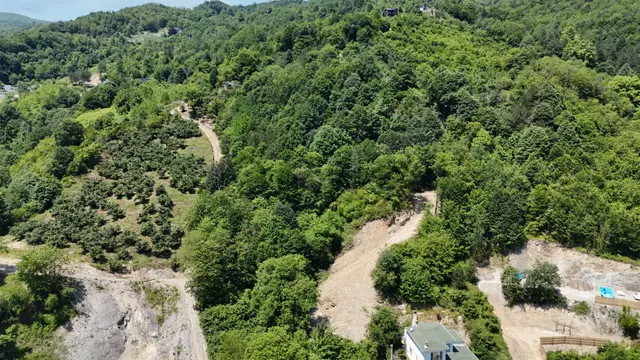 Sapanca Şükriye Mahallesinde Doğa İçinde Satılık 3.538 M2 Bahçe 4