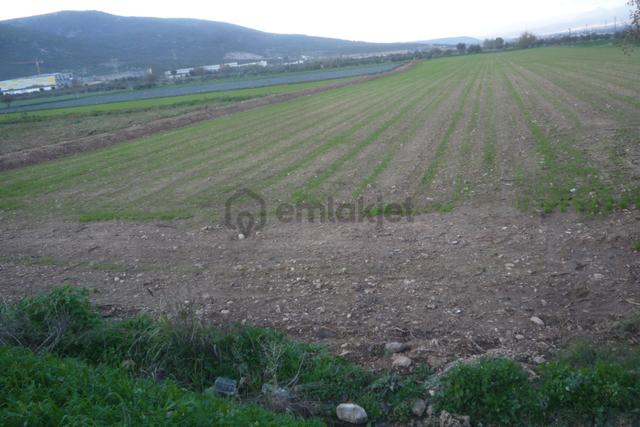 İzmir Torbalı Gold Emlaktan Satılık Güzel Konumda Tarla 4