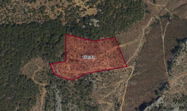 Gazipaşa Öznurtepe Köyünde Satılık 27 Dönüm Tarla – Takasa Uygun, Yolu Ve Temizliği Hazır 5