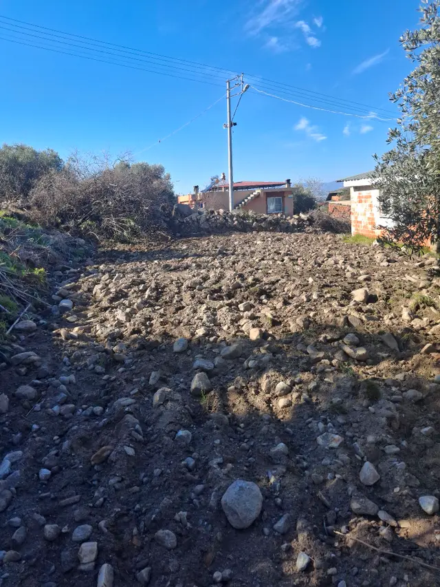 Kuyucak Karapınar Mahallesi Konut İmarlı İçinde Evi Olan Zeytinlikli Arsa 1376 M² 3