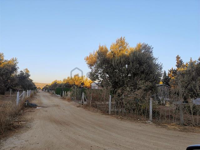 Menderes Develi De Fırsat Bahçe 5