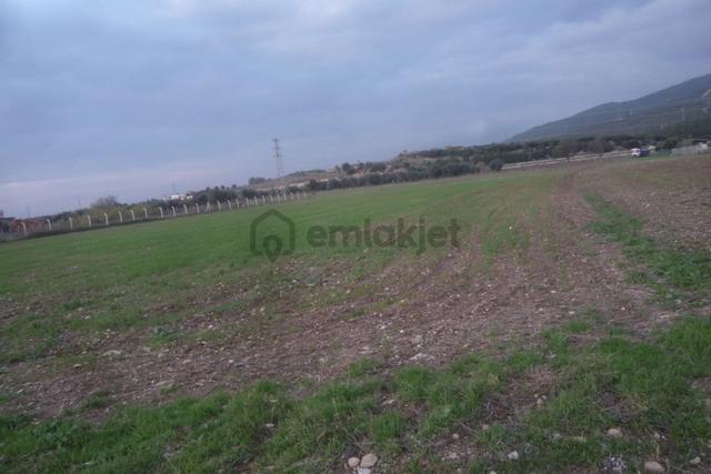 İzmir Torbalı Gold Emlaktan Satılık Tarla 4