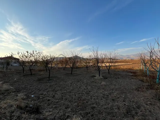 Öz Gaye Emlaktan Develi Tombak Mahallesinde Satılık Tarla 2