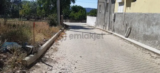 400m2 Köyiçi Zeytinli 1