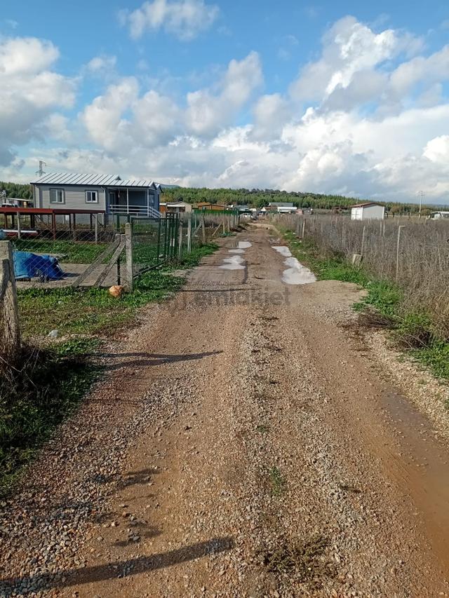 Bal Gayrimenkul- Çileme Yolu Üzerinde Muhteşem Konumda Bahçe 4
