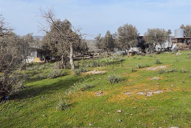 Hacıömerli Köyünde 1040m2 Tapulu Harika Manzaralı Bahçe 5