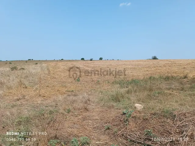 Saray Çukuryurtta Müstakil Tapulu Mera Cepheli Tarla 3