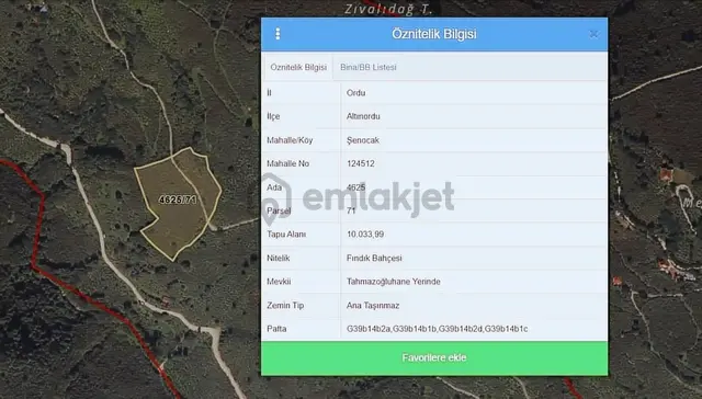 Delta Gayrimenkul'den Ordu Şenocak Köyünde Fındık Bahçesi.. 2