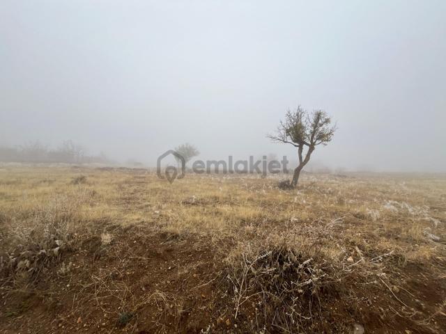 Öz Gaye Emlaktan Develi Tombak Bekçitepesi Mevkinde Satılık Arazi 4