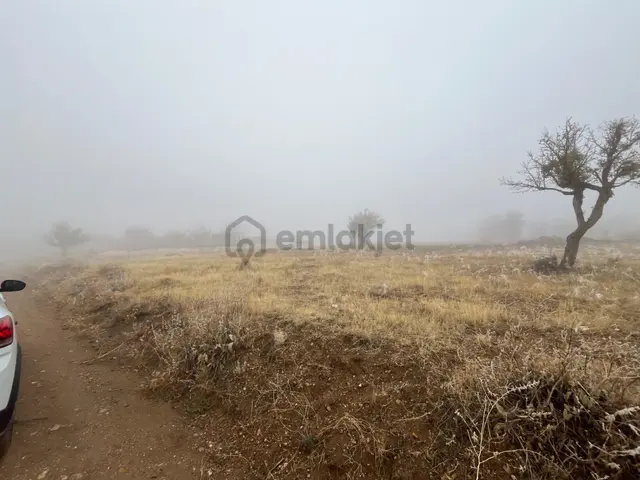 Öz Gaye Emlaktan Develi Tombak Bekçitepesi Mevkinde Satılık Arazi 2