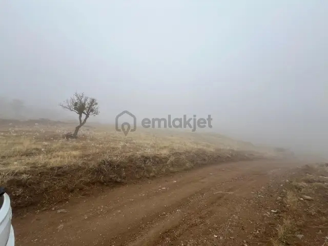 Öz Gaye Emlaktan Develi Tombak Bekçitepesi Mevkinde Satılık Arazi 3