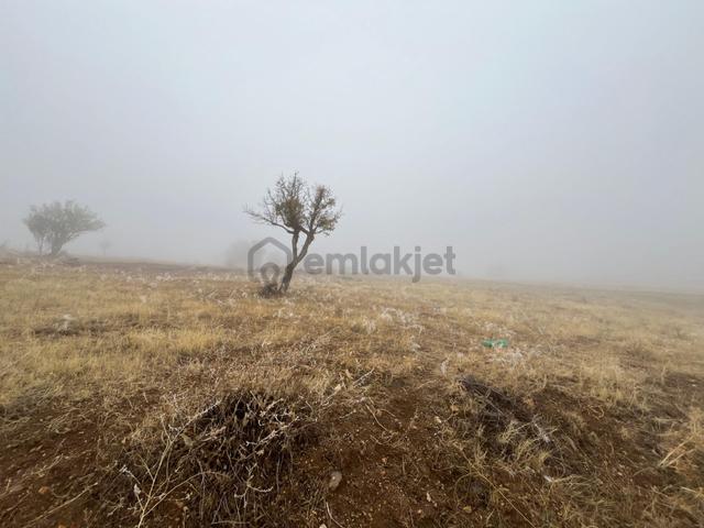 Öz Gaye Emlaktan Develi Tombak Bekçitepesi Mevkinde Satılık Arazi 1
