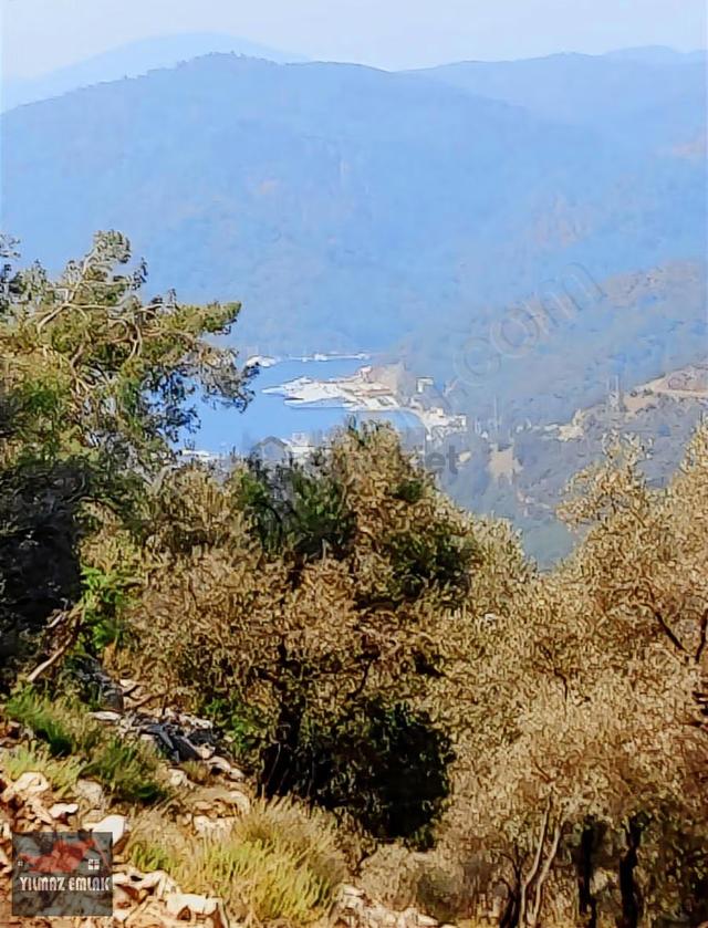 Fethiye Göcek Taşbaşında Müstakil Tarla 5