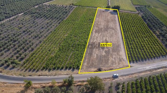 Manisa Tilkisüleymaniye De 6.875 M2 Tarla , Asfalta Sıfır 1