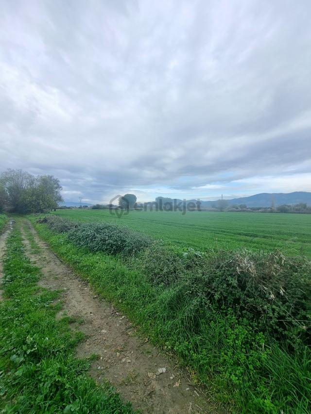 Premar Ayvada'dan Burhaniye Kızıklı Mahallesinde 15944 M2 3